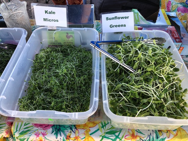 Kale Micros, Sunflower Greens