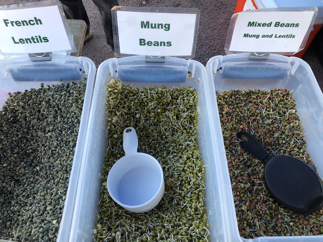 Mung Beans, French Lentils, Mixed Beans