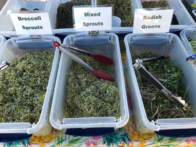 Broccoli Sprouts, Mixed Sprouts, Radish Greens