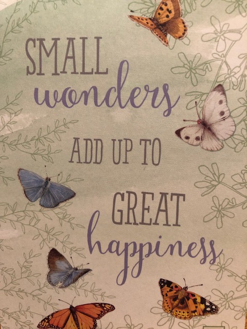 Small Wonders add up to GREAT happiness