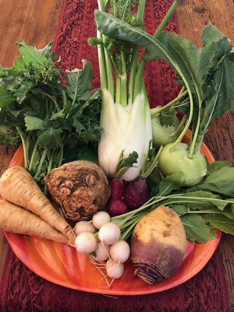 Plate of Vegetables