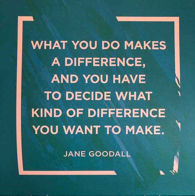 "What you do makes a difference, and you have to decide what kind of difference you want to make." - Jane Goodall image